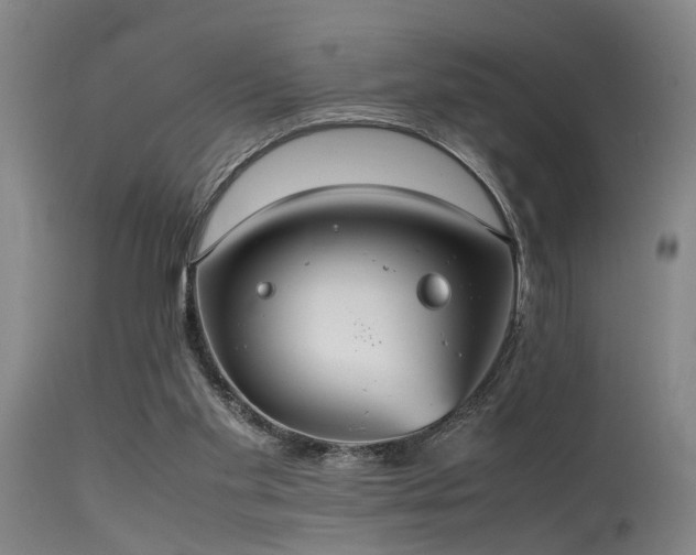 X0000115620109200911101424