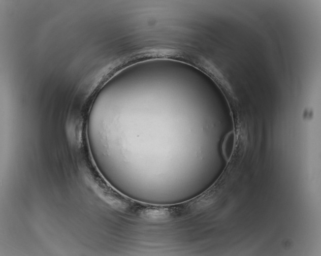 X0000115620110200911101424