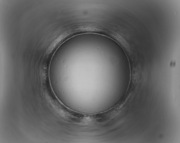 X0000115620111200911101424