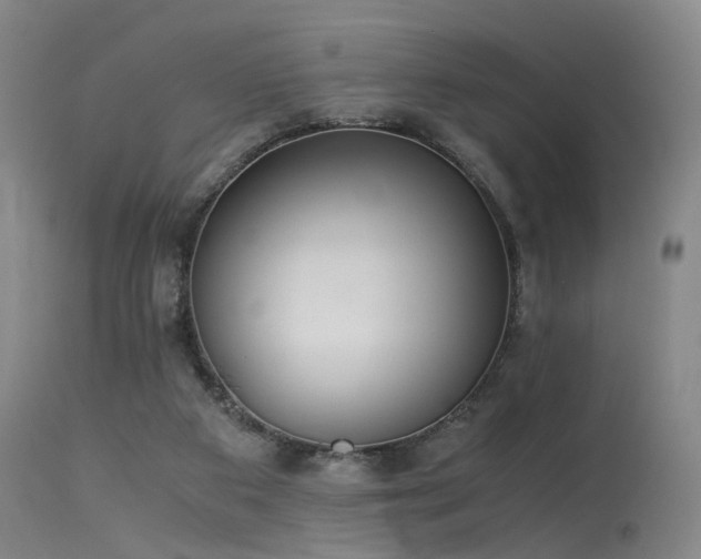 X0000115620113200911101424