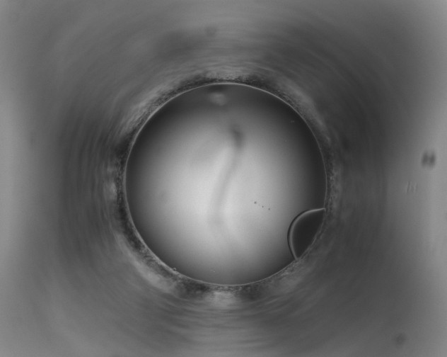 X0000115620114200911101424