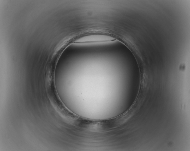 X0000115620116200911101424