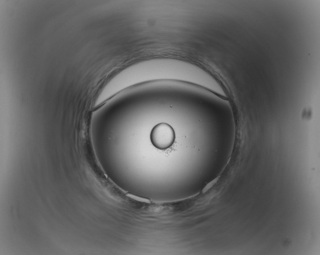 X0000115620117200911101424