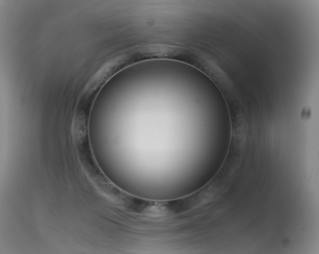 X0000115620119200911101424