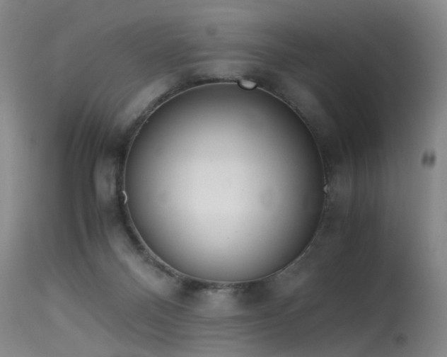 X0000115620120200911101424