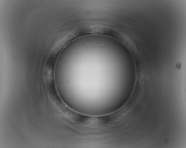 X0000115620123200911101424