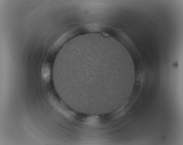 X0000115620124200911101424