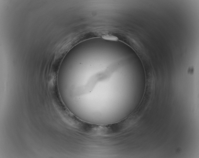 X0000115620125200911101424