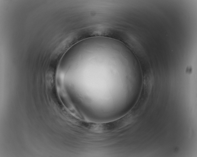 X0000115620127200911101424