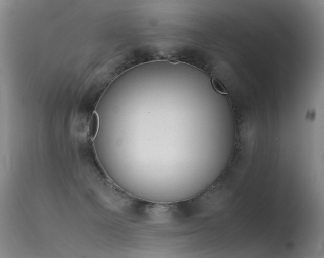 X0000115620129200911101424