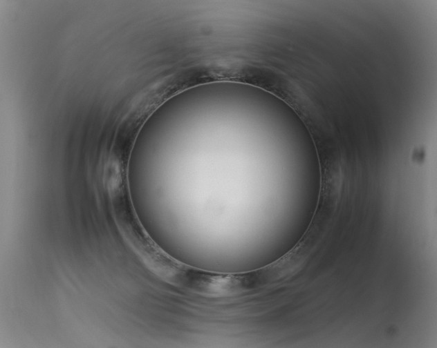 X0000115620130200911101424