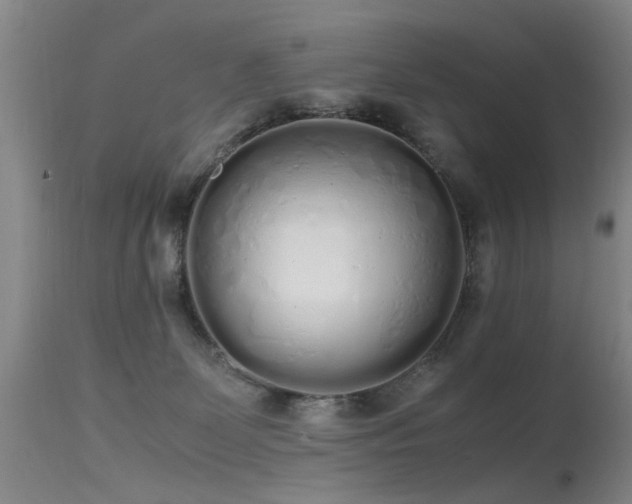 X0000115620131200911101424