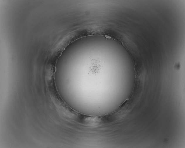 X0000115620133200911101424