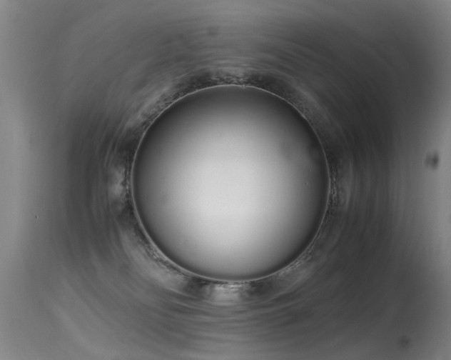 X0000115620134200911101424