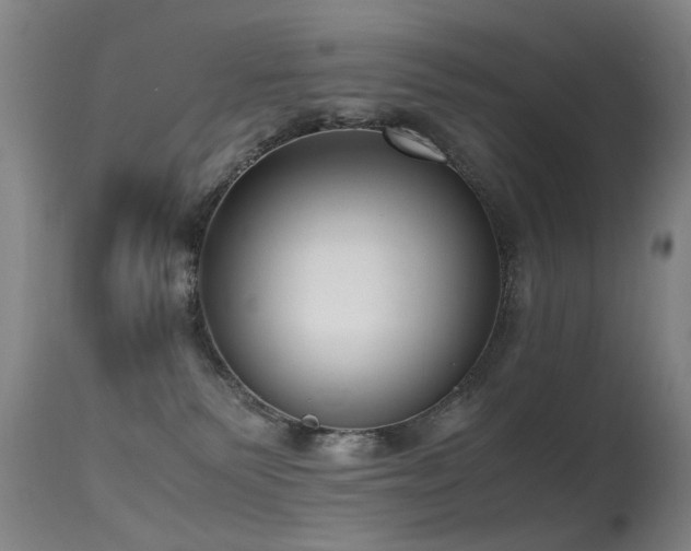 X0000115620135200911101424