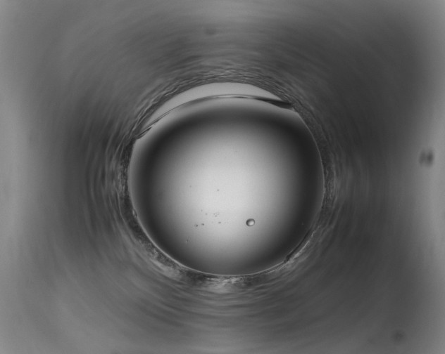 X0000115620136200911101423