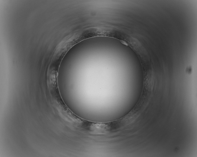 X0000115620137200911101423