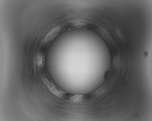 X0000115620138200911101423