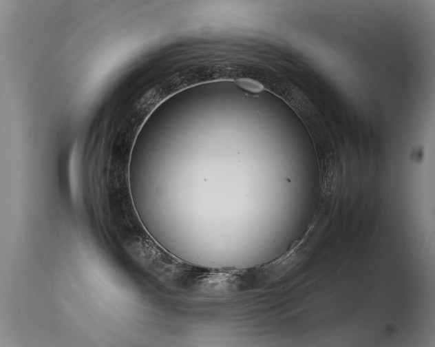 X0000115620140200911101423