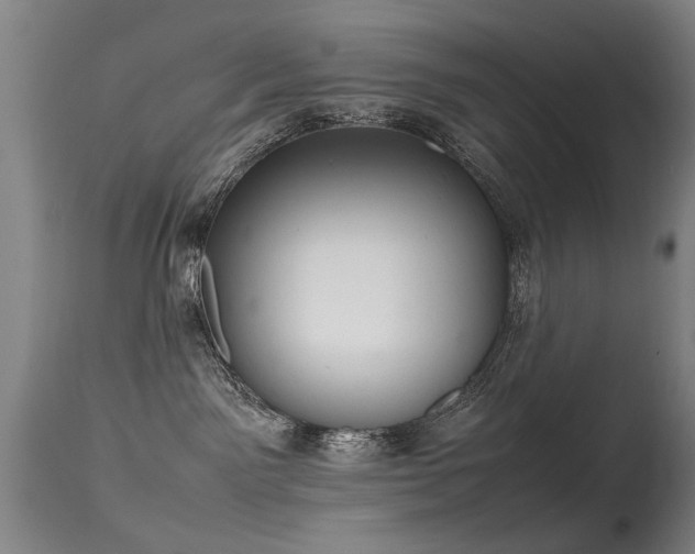 X0000115620141200911101423