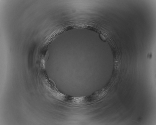 X0000115620143200911101423