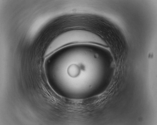 X0000115620146200911101423