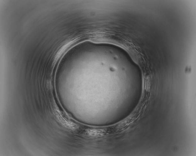 X0000115620147200911101423