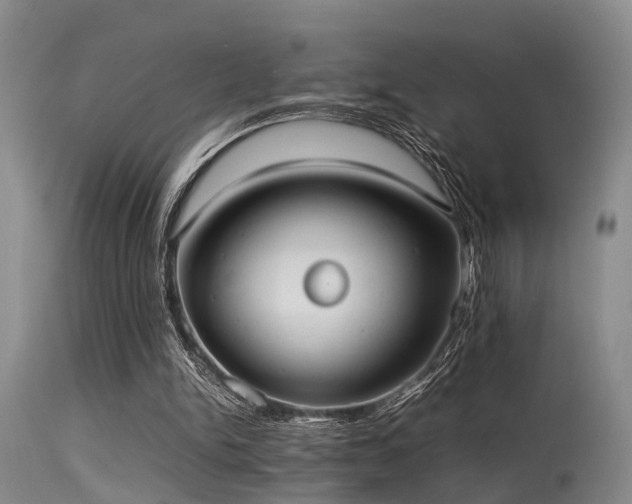 X0000115620150200911101423