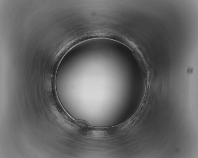 X0000115620154200911101423