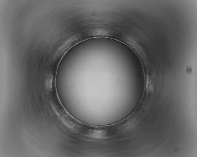 X0000115620157200911101423