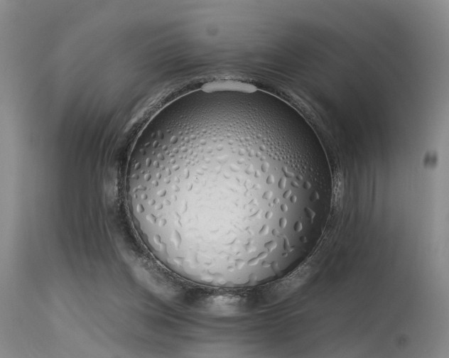 X0000115620158200911101423