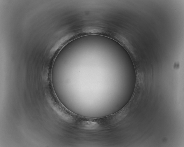 X0000115620159200911101423