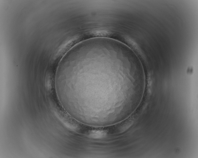 X0000115620161200911101423