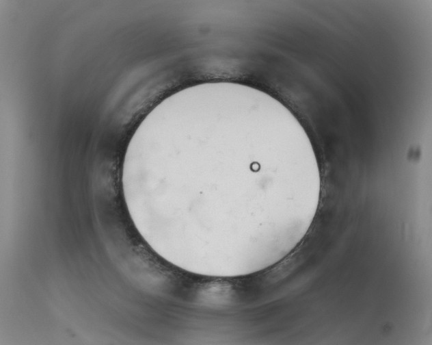 X0000115620162200911101423