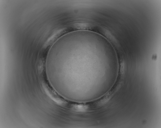 X0000115620165200911101423