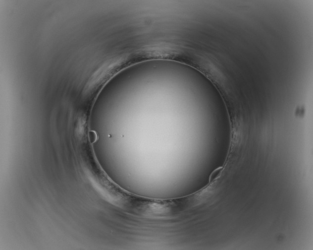 X0000115620166200911101423