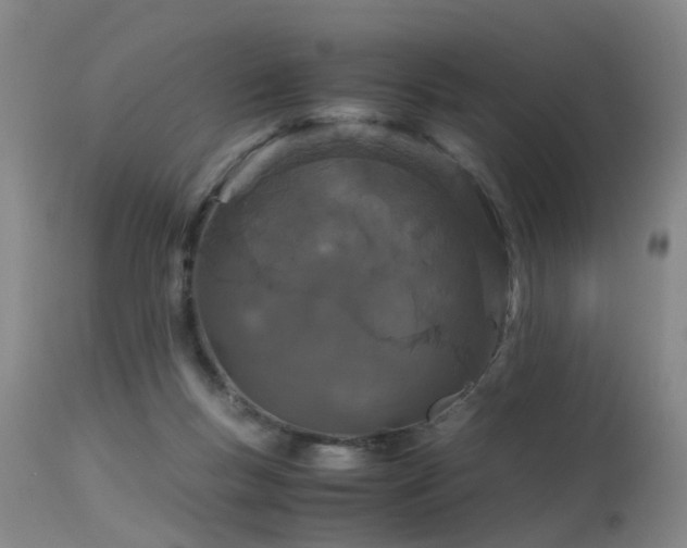 X0000115620167200911101423