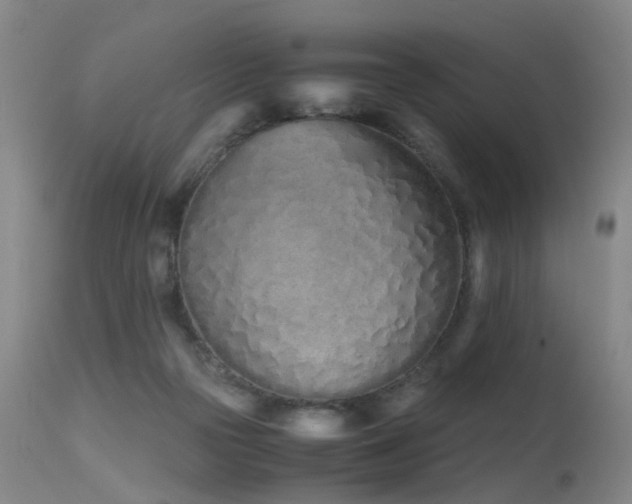 X0000115620169200911101423