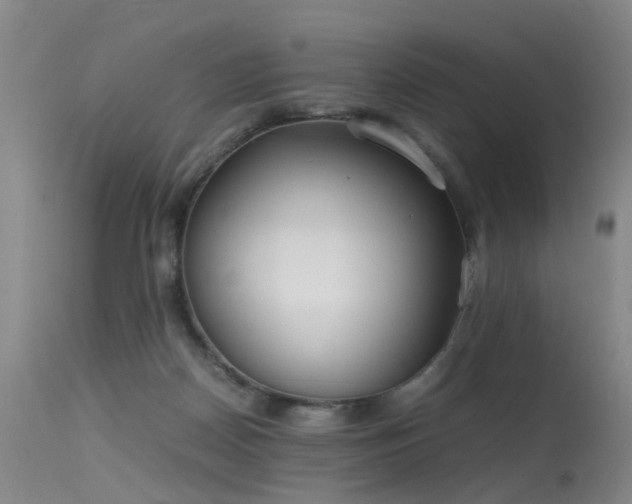 X0000115620170200911101423