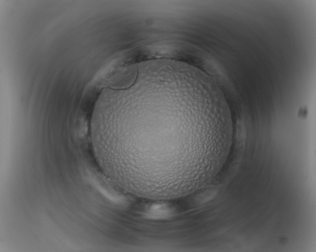 X0000115620173200911101423