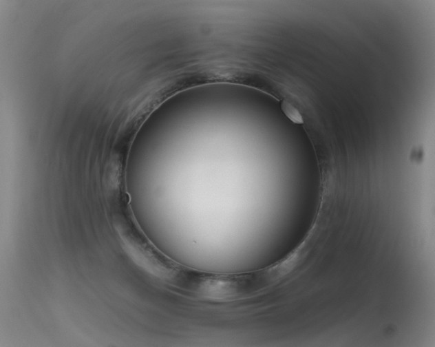 X0000115620174200911101423