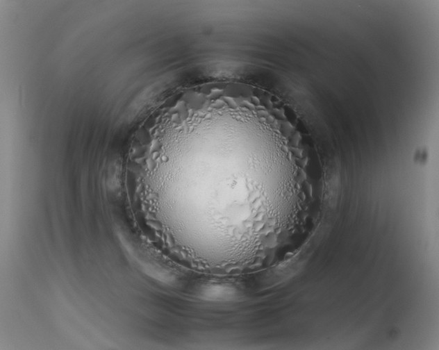 X0000115620175200911101423