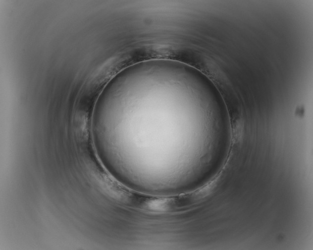 X0000115620178200911101423