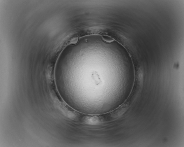 X0000115620181200911101423