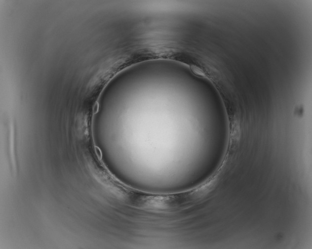 X0000115620182200911101423