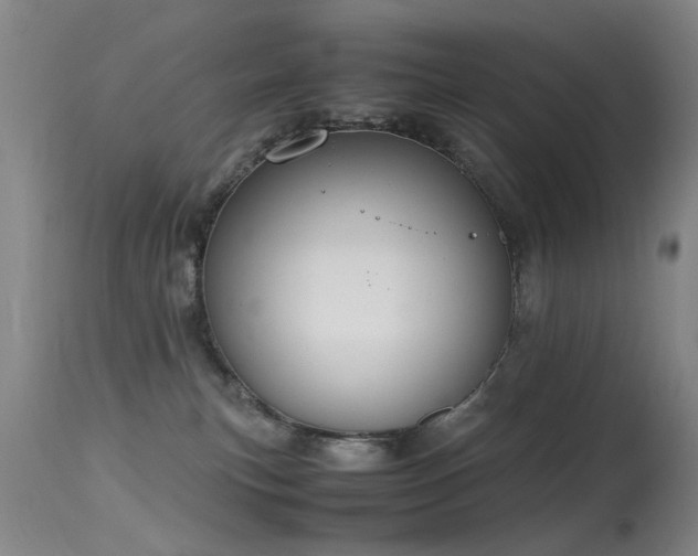 X0000115620183200911101423