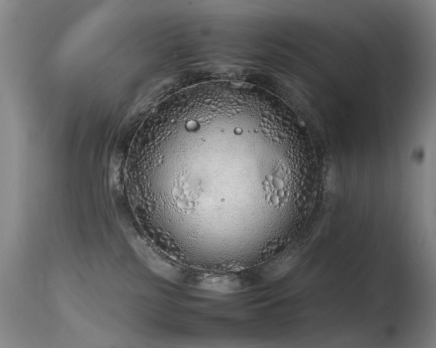 X0000115620185200911101423