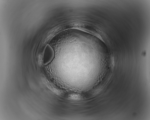 X0000115620189200911101423