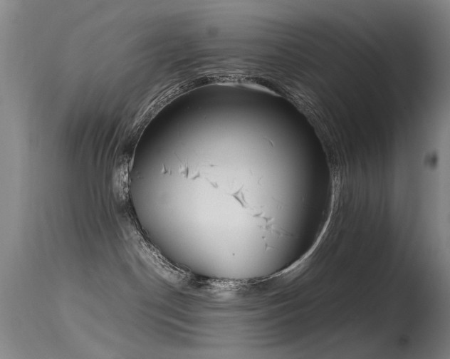 X0000115620190200911101423