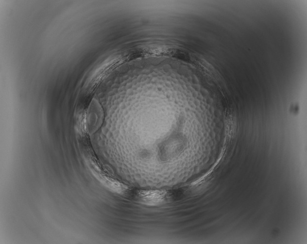 X0000115620191200911101423